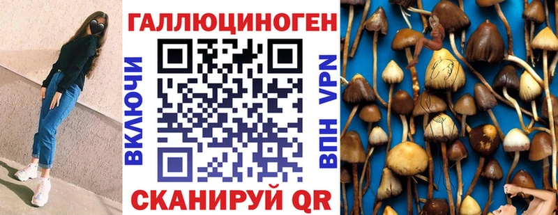 Псилоцибиновые грибы Cubensis  mega вход  Сорочинск 