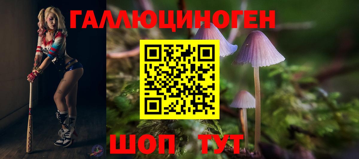 Псилоцибиновые грибы Cubensis  купить наркоту  Сорочинск  Вход с VPN 